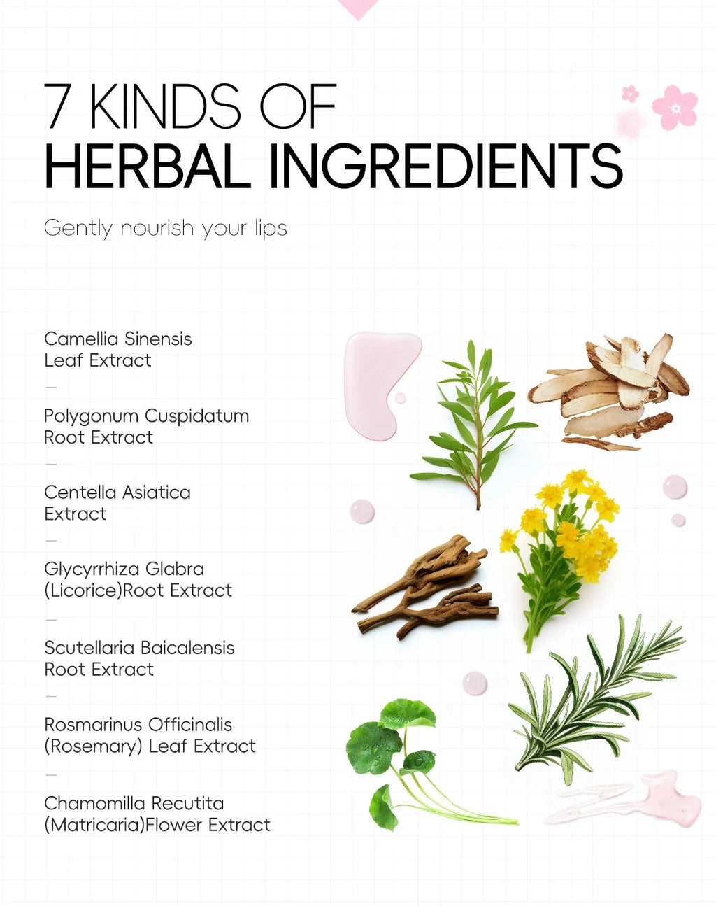 Japan Sakura Lip Hydrogel Pads (Soothe) — 10 pcs